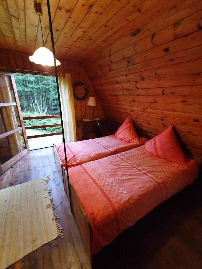 Chata Pod Tolstejnem Villa Jiřetín pod Jedlovou Bagian luar foto