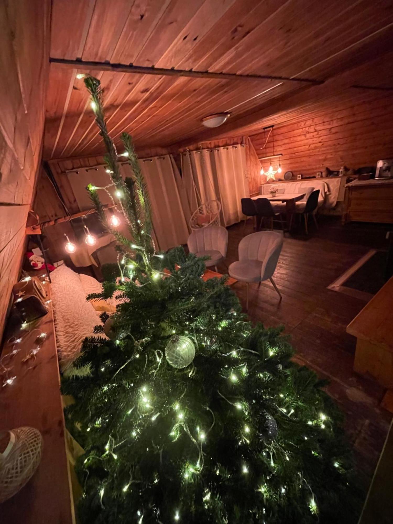 Chata Pod Tolstejnem Villa Jiřetín pod Jedlovou Bagian luar foto