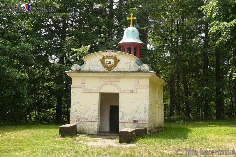 Chata Pod Tolstejnem Villa Jiřetín pod Jedlovou Bagian luar foto